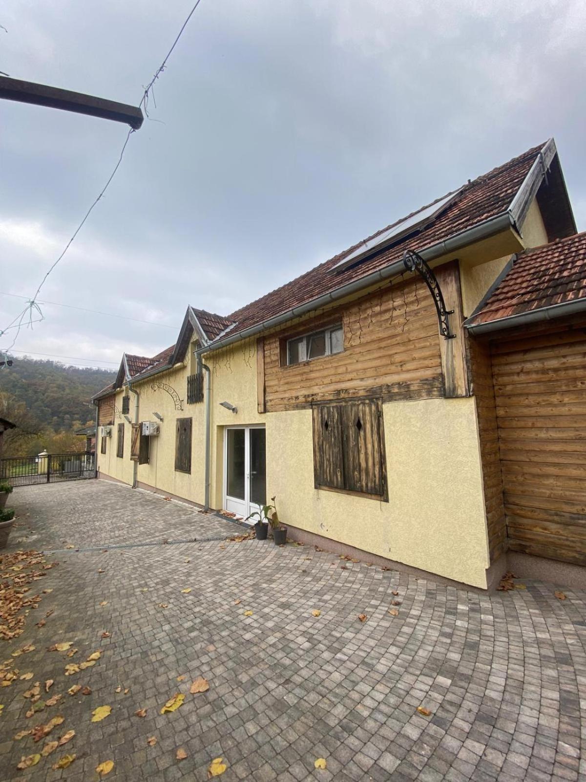 Forest Camp Despotovac Buitenkant foto