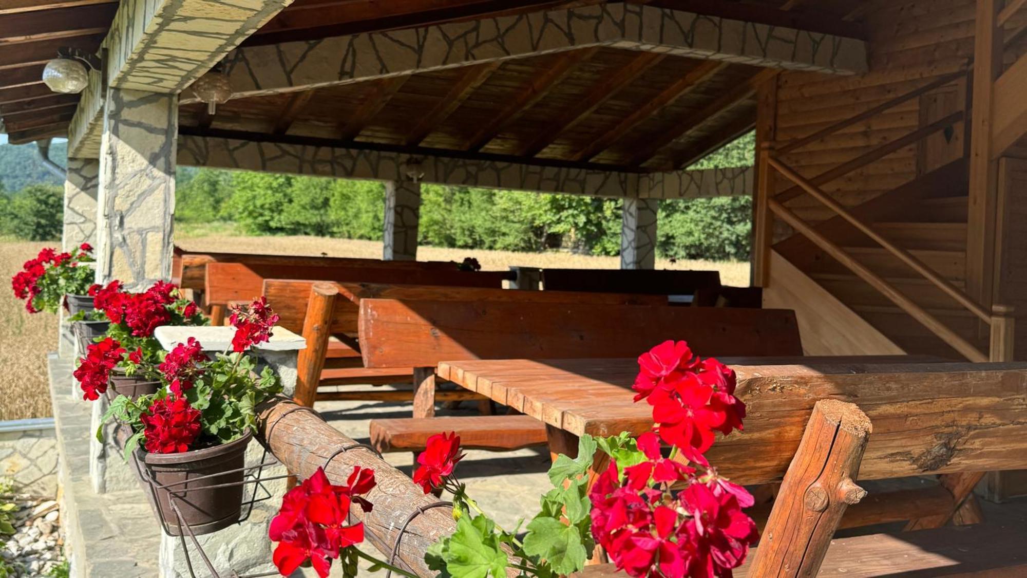 Forest Camp Despotovac Buitenkant foto